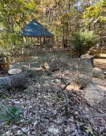 Hall & Forsyth Counties