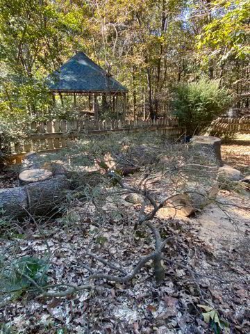 Hall & Forsyth Counties