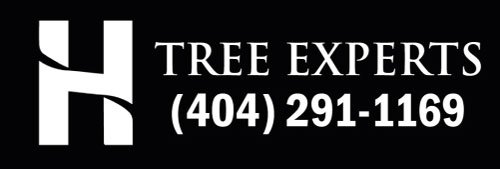H Tree Experts