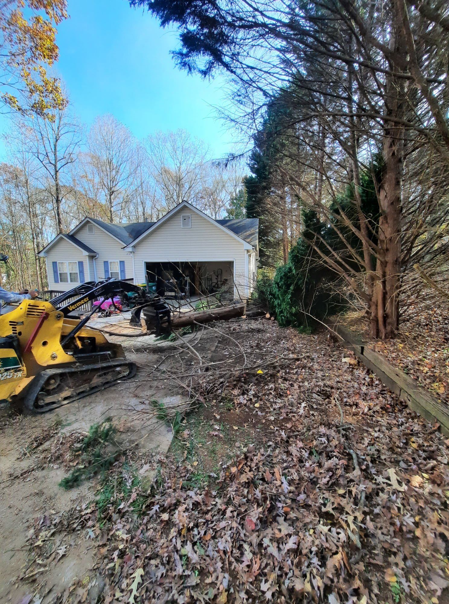 Improper pruning can cause lasting damage or even shorten the life of the tree.