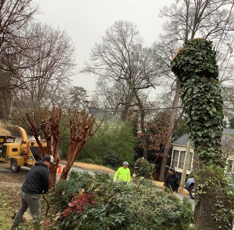 Whether you are preparing to build a new home, expand a commercial property, or simply clear years of dense brush, saplings, and hazardous trees, H Tree Experts has the heavy equipment and expertise needed to handle job sites of any size. We transform wild, unmanageable terrain into clean, level, and ready-to-build spaces safely and on schedule.
