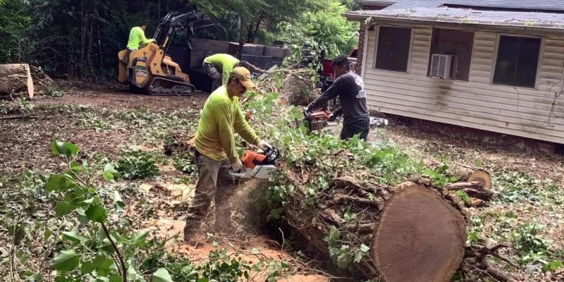 You must learn to monitor the trees of the houses, since as they can bring benefits for all who live around it, it can become a danger for us or for our community. We can avoid with good care and constant pruning, the total elimination of the trees.